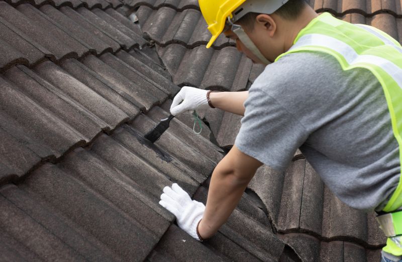 Skilled Roofing Contractors